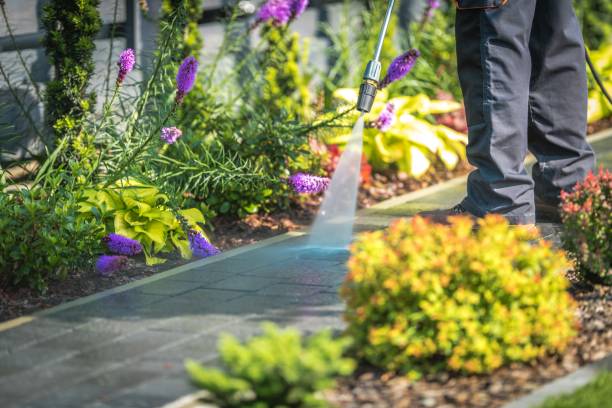 Best Driveway Cleaning and Restoration in Cottageville, SC