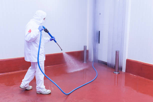 Best Vinyl Siding Pressure Washing in Cottageville, SC
