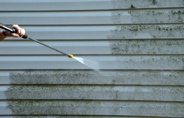 Best Gutter Cleaning and Brightening in Cottageville, SC